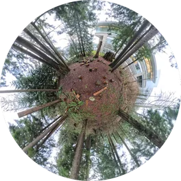 FullCircle Trees (MCMC)